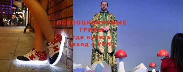 бошки Верея