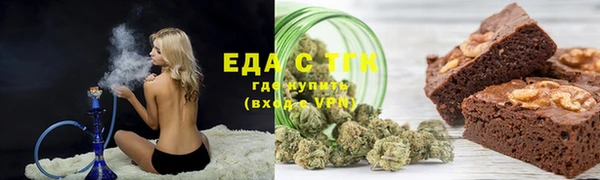 индика Бронницы