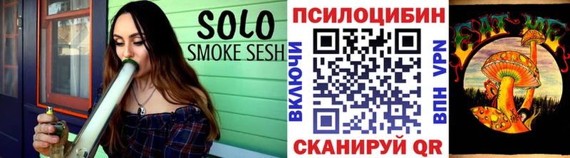продажа наркотиков Хабаровск Псилоцибиновые грибы Magic Shrooms